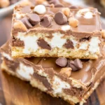 Chocolate Cake Mix Bars1
