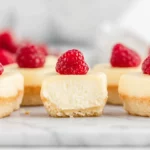 Low Carb Cheesecake Bites3
